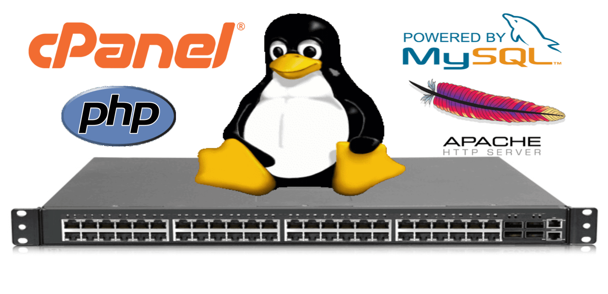 linux hosting